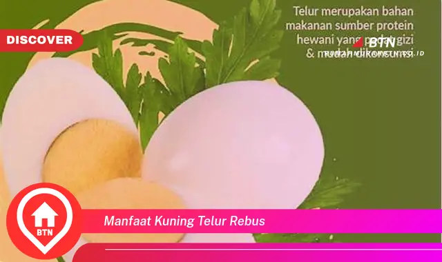 manfaat kuning telur rebus