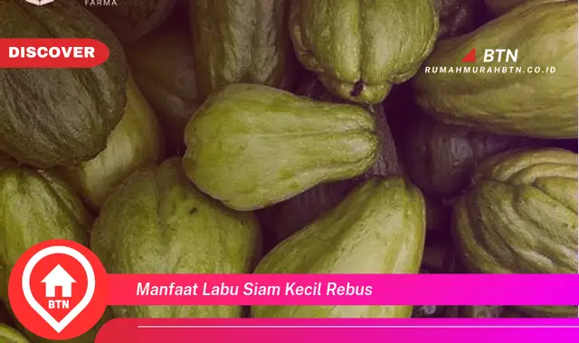 manfaat labu siam kecil rebus