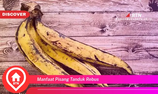 manfaat pisang tanduk rebus