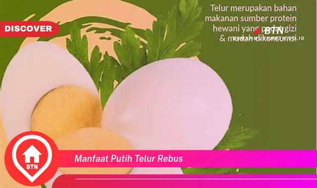 manfaat putih telur rebus