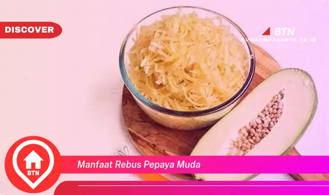 manfaat rebus pepaya muda