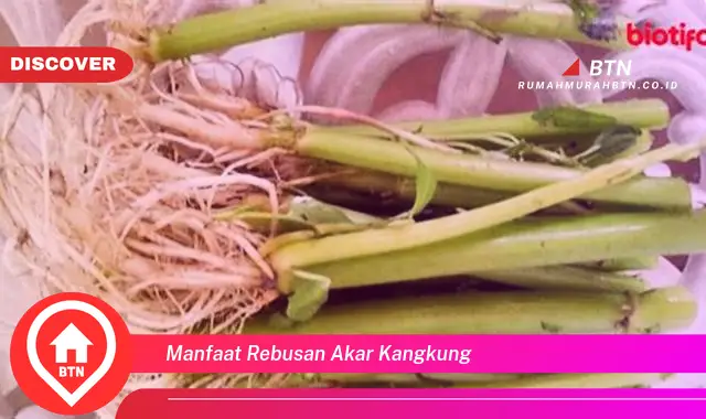 manfaat rebusan akar kangkung