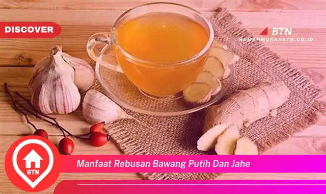 manfaat rebusan bawang putih dan jahe