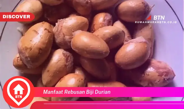 manfaat rebusan biji durian