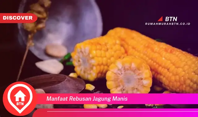 manfaat rebusan jagung manis