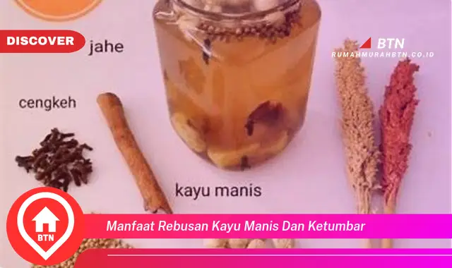 manfaat rebusan kayu manis dan ketumbar