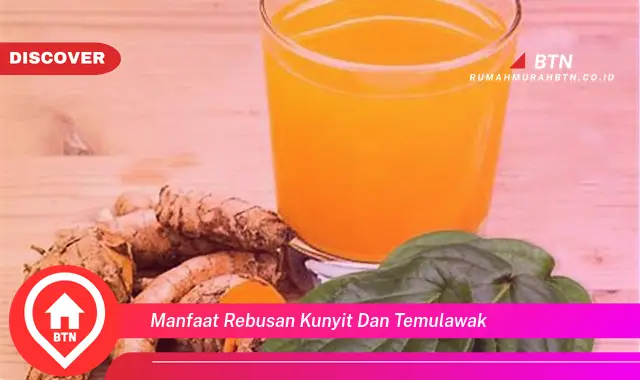 manfaat rebusan kunyit dan temulawak