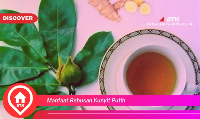 manfaat rebusan kunyit putih