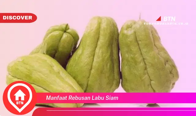 manfaat rebusan labu siam