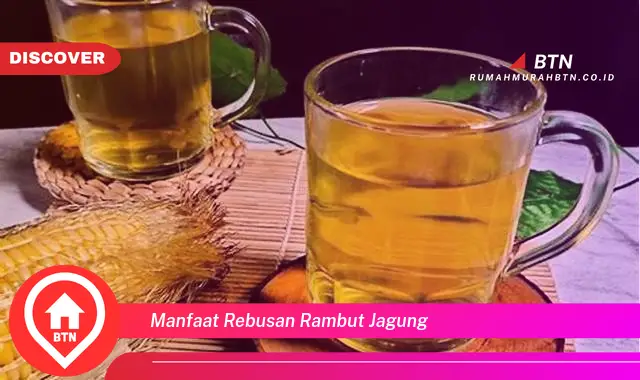 manfaat rebusan rambut jagung