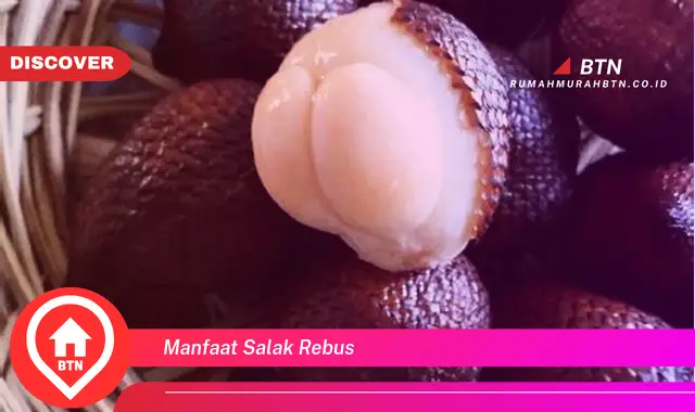 manfaat salak rebus