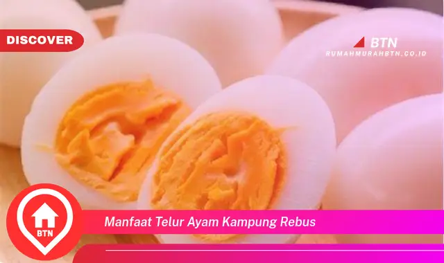 manfaat telur ayam kampung rebus