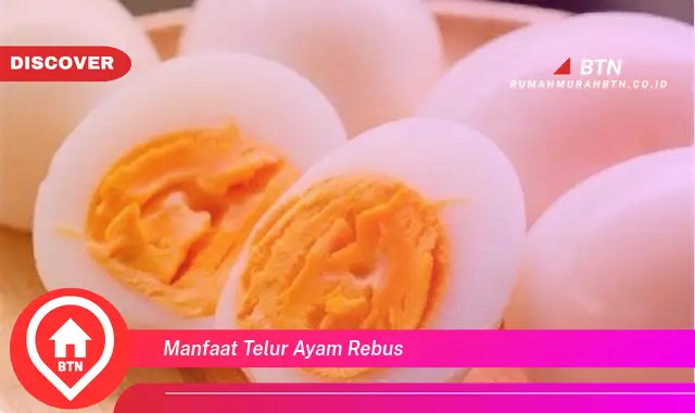 manfaat telur ayam rebus