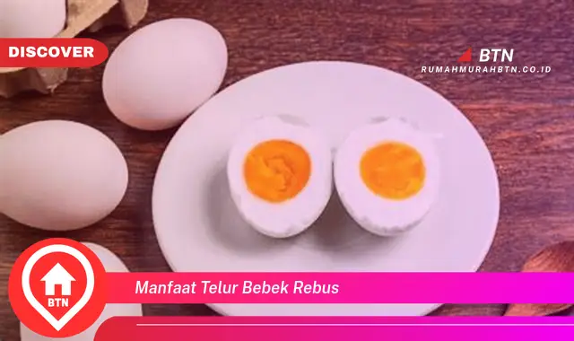 manfaat telur bebek rebus