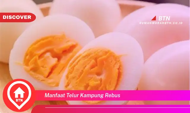 manfaat telur kampung rebus