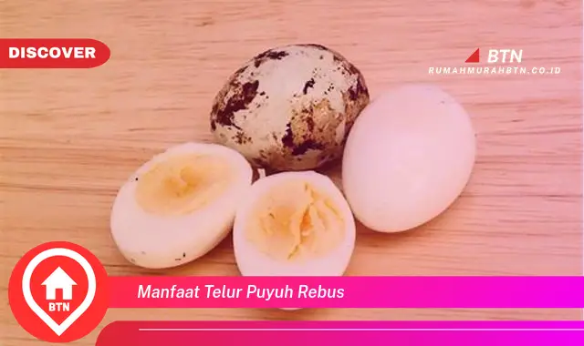 manfaat telur puyuh rebus