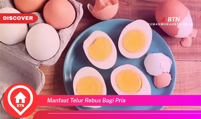 manfaat telur rebus bagi pria