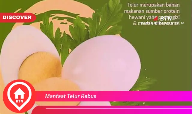 manfaat telur rebus