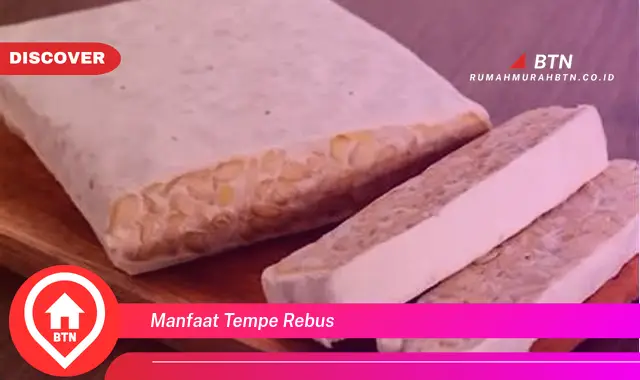 manfaat tempe rebus