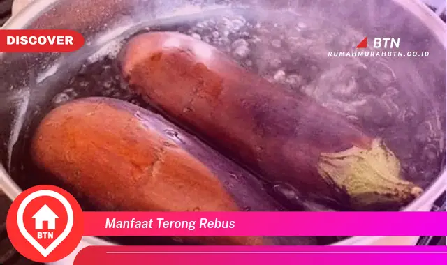 manfaat terong rebus