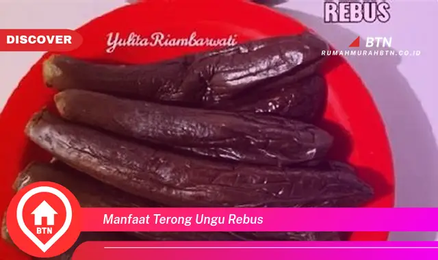 manfaat terong ungu rebus