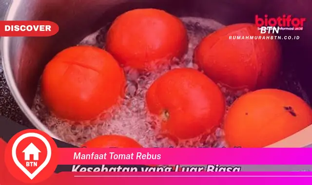 manfaat tomat rebus