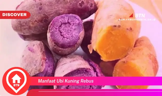 manfaat ubi kuning rebus