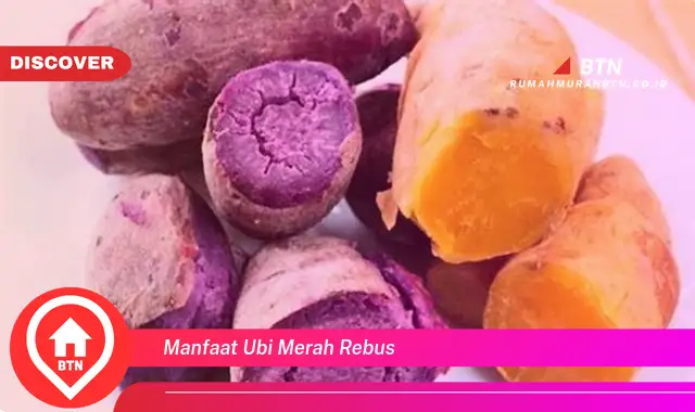 manfaat ubi merah rebus