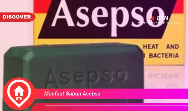 manfaat sabun asepso