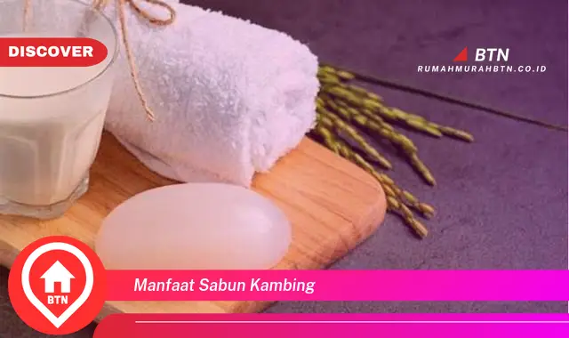 manfaat sabun kambing