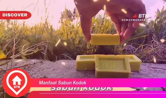 manfaat sabun kodok