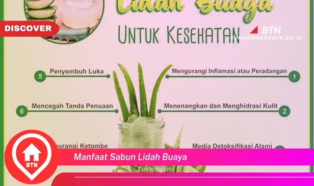 manfaat sabun lidah buaya