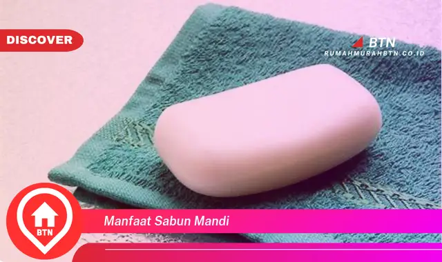 manfaat sabun mandi