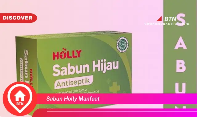 sabun holly manfaat