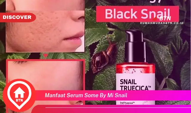 manfaat serum some by mi snail