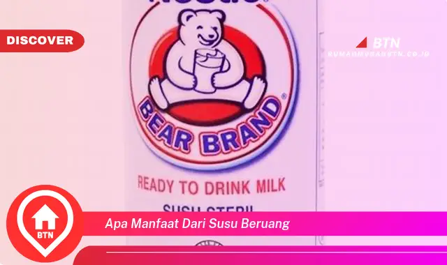 apa manfaat dari susu beruang