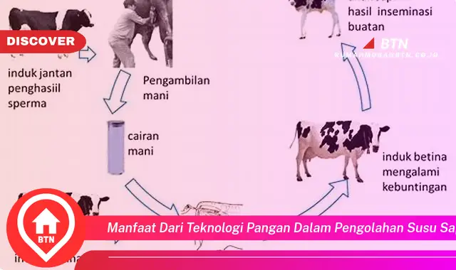 manfaat dari teknologi pangan dalam pengolahan susu sapi