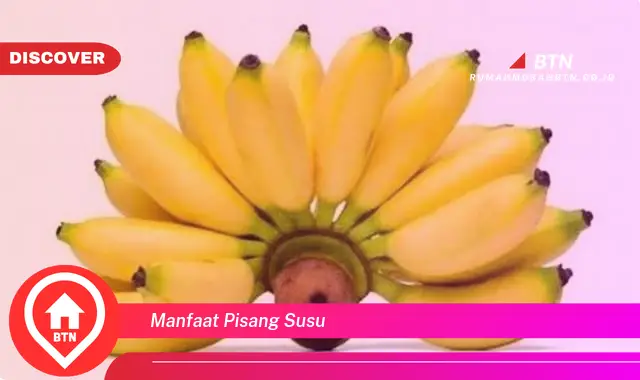 manfaat pisang susu