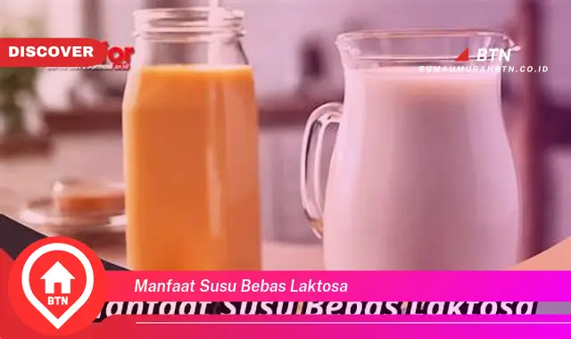 manfaat susu bebas laktosa