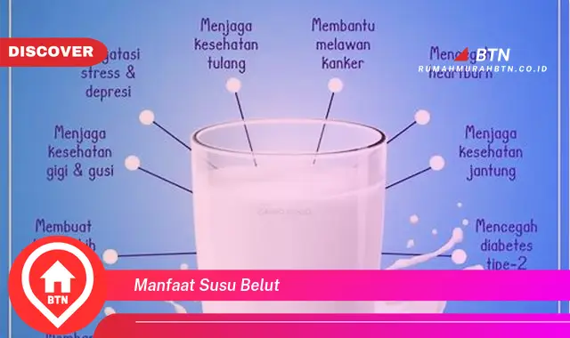 manfaat susu belut