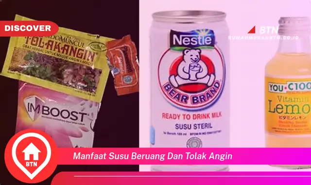 manfaat susu beruang dan tolak angin