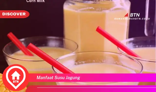 manfaat susu jagung