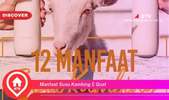 manfaat susu kambing e goat