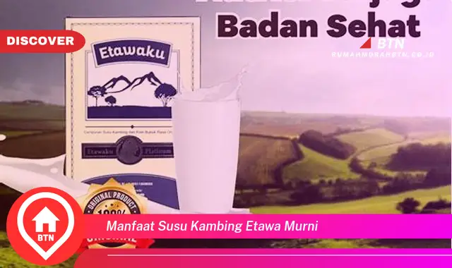 manfaat susu kambing etawa murni