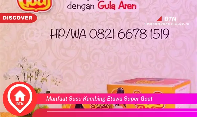 manfaat susu kambing etawa super goat