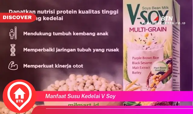 manfaat susu kedelai v soy