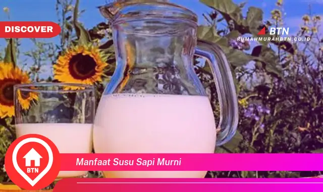 manfaat susu sapi murni