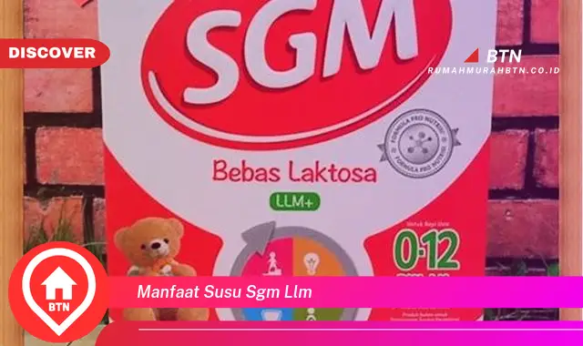 manfaat susu sgm llm