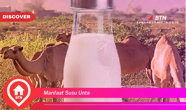 manfaat susu unta