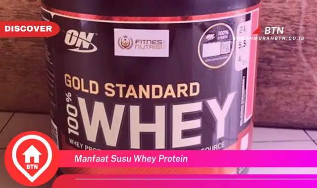 manfaat susu whey protein